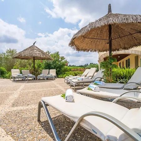 Ideal Mallorca - Son Perxa Petra (Mallorca)